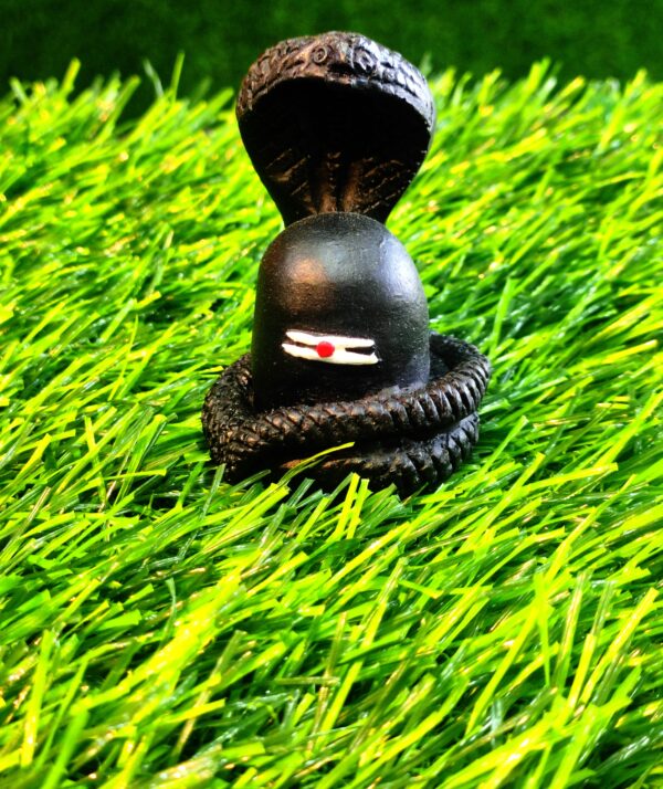 Shivling with Naag Devta Idol - Image 4