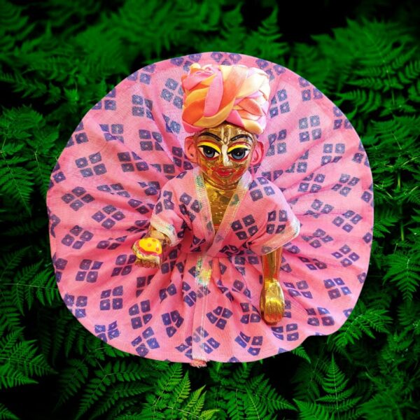 Floral Cotton Daily Wear Poshak Set for Laddu Gopal - Image 3