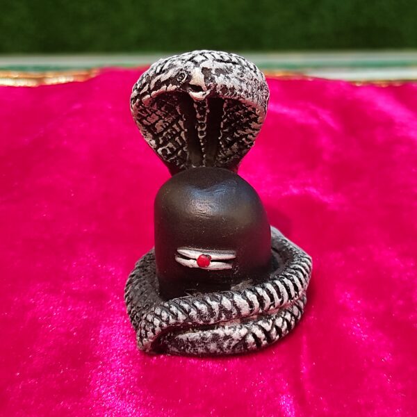 Shivling with Naag Devta Idol - Image 3